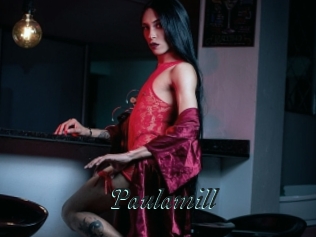 Paulamill