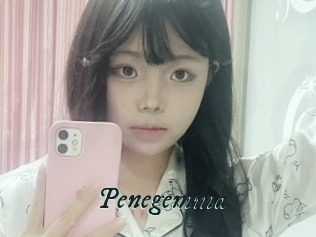 Penegemma