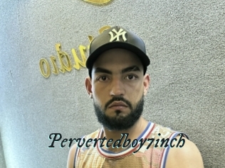 Pervertedboy7inch