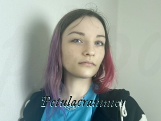 Petulacrammer