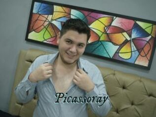 Picassoray