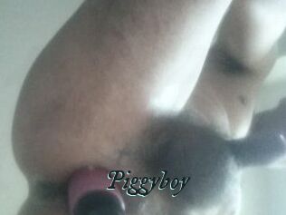 Piggyboy