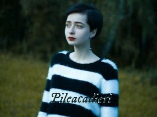 Pileacadieri