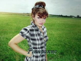 Pinupanne