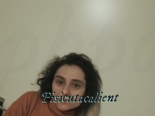 Pisicutacalient