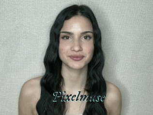 Pixelmuse
