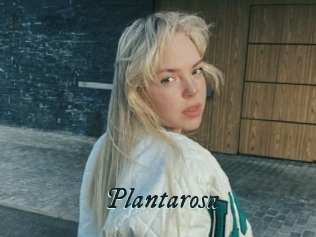 Plantarosa