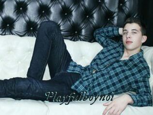 Playfulboynoi