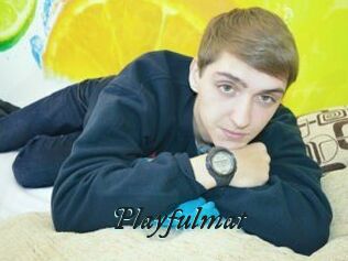 Playfulmat