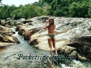 Pocketsizeolivialive