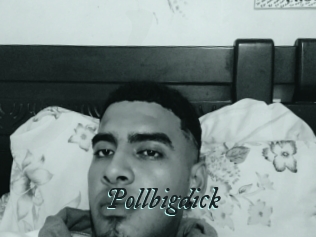 Pollbigdick