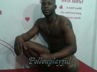 Pollonplayful