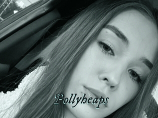 Pollyheaps