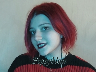 Poppyblom
