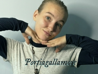 Portiagallamore