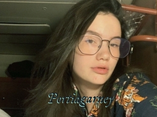 Portiagarney