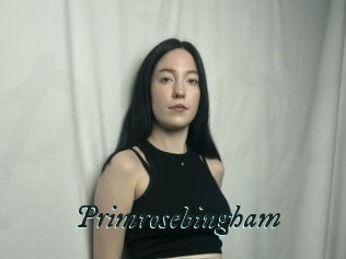 Primrosebingham