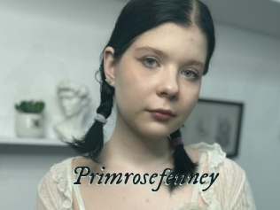 Primrosefenney