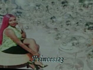 Princess23