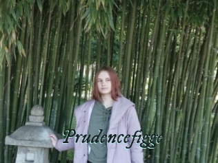 Prudencefigge