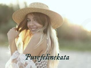 Purefelinekata