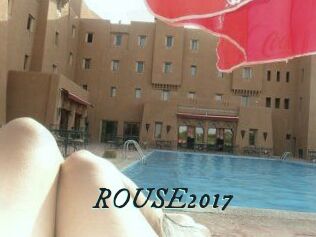 ROUSE2017