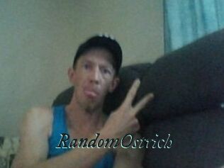 RandomOstrich