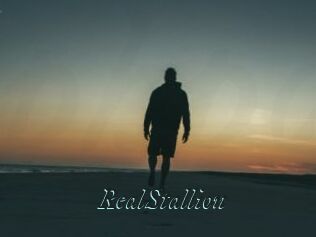 RealStallion