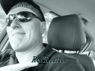 RedRooster