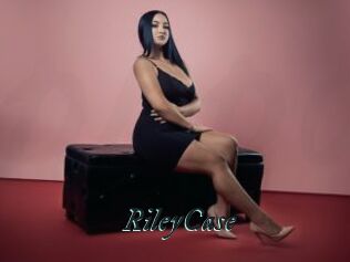 RileyCase