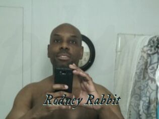 Rodney_Rabbit