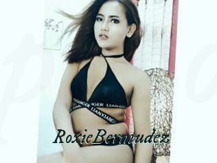 RoxieBermudez