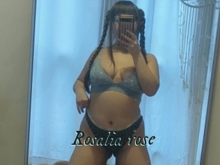 Rosalia_rose