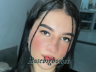 Rosebigboobss