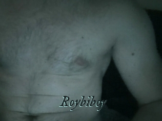 Roybiboy