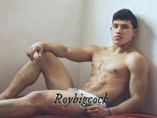 Roybigcock