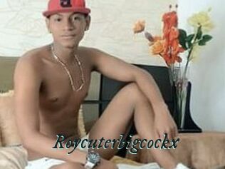 Roycuterbigcockx