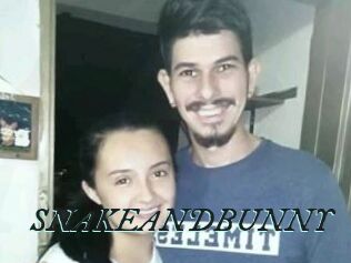 SNAKEANDBUNNY