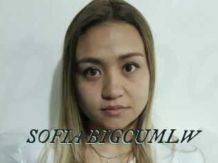 SOFIA_BIGCUMLW