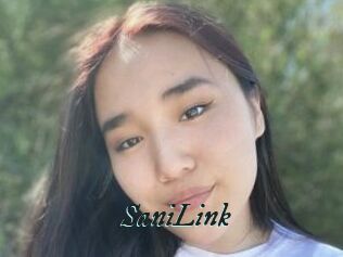 SaniLink
