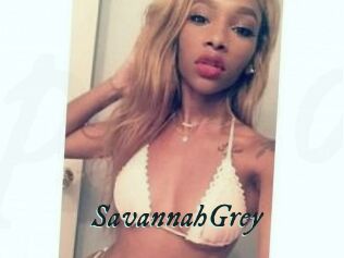 Savannah_Grey