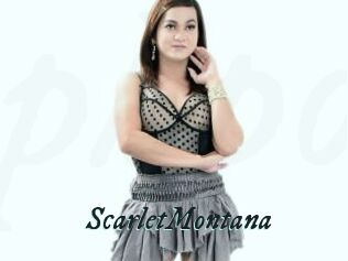 ScarletMontana