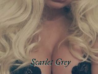 Scarlet_Grey
