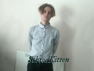 SchrodKitten