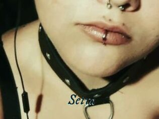 Setra