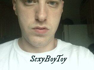 SexyBoyToy