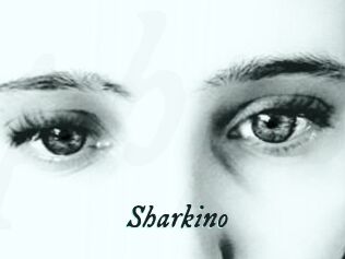Sharkino