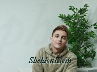 SheldonKlein