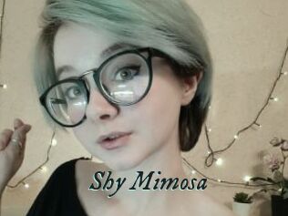 Shy_Mimosa