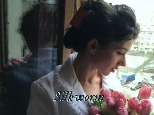 Silkworm